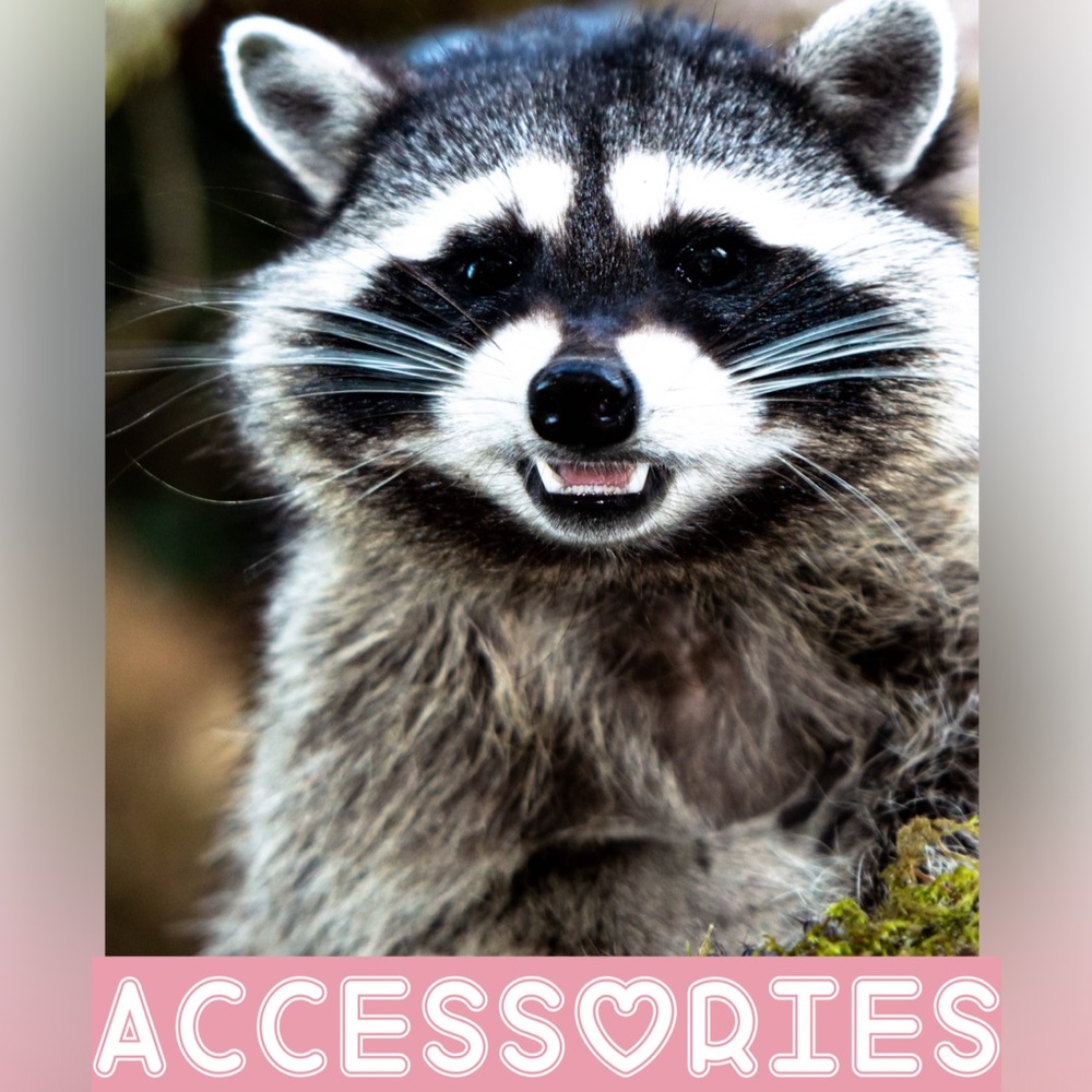 Accessories & Bags➡️